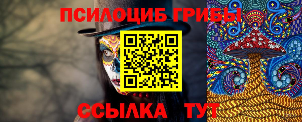 Псилоцибиновые грибы Cubensis  Псилоцибиновые грибы прущие грибы  Вход с VPN  Рассказово 